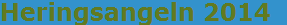 Heringsangeln 2014